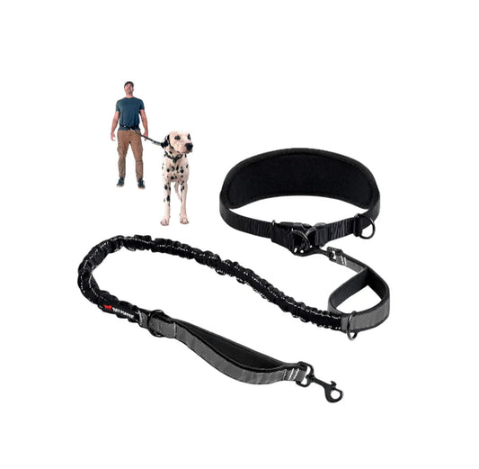 Heavy Duty Hands Free Dog Leash | One Large Dog up to 125 Lbs | Comfortable Shock Absorbing Bungee | Reflective Padded Handles | Lumbar Waist Belt 26-38" | Walking Jogging Running Leash