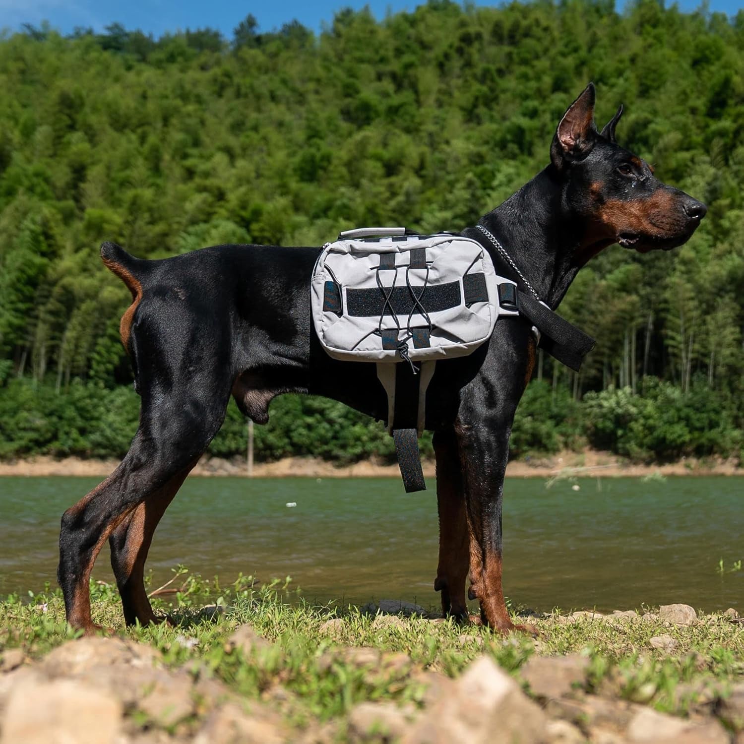 Large Dog Backpack, Outdoor Hound Saddle Bag Dog Pack with Side Pockets for Small Medium Large Dogs, Adjustable Tactical Dog Pack for Hiking, Travel, Camping, Training Gray M