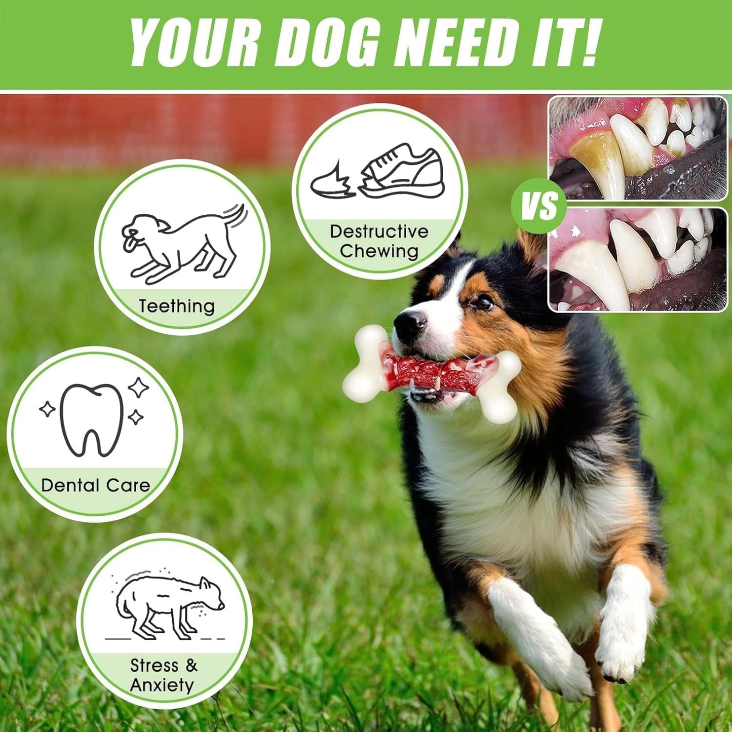 2TRUL Dog Toys for Aggressive Chewers, Indestructible Dog Toys for Large Dogs, R
