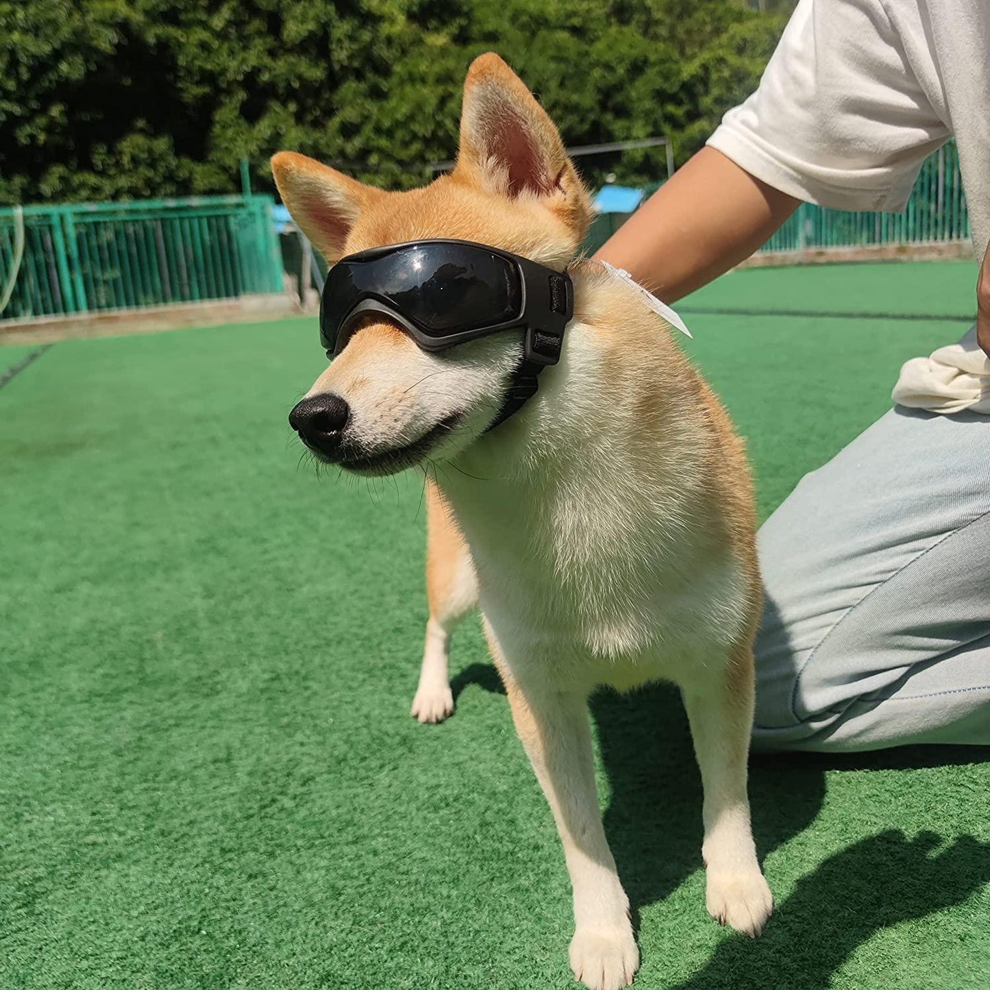 Dog & Cat Outdoor UV Protection Sunglasses Pet Goggles with Adjustable Straps