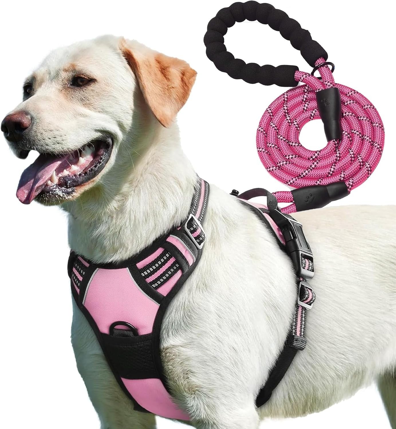 Adjustable No Pull Dog Harness with Free Heavy Duty 5Ft Dog Leash by Petbuds UK