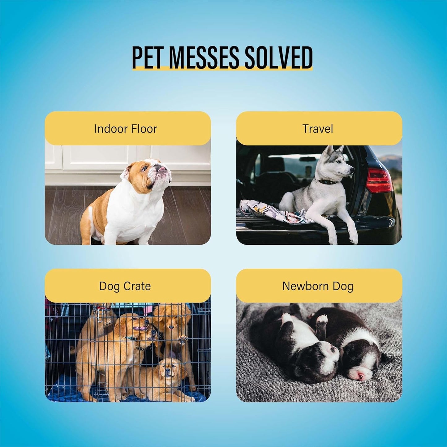 All-Absorb Basic Training Pads,Dog Training Pads 100 Pack, 5 Layers Super Absorbent Puppy Pads-Dog and Puppy Training Pads 56Cm X 56Cm
