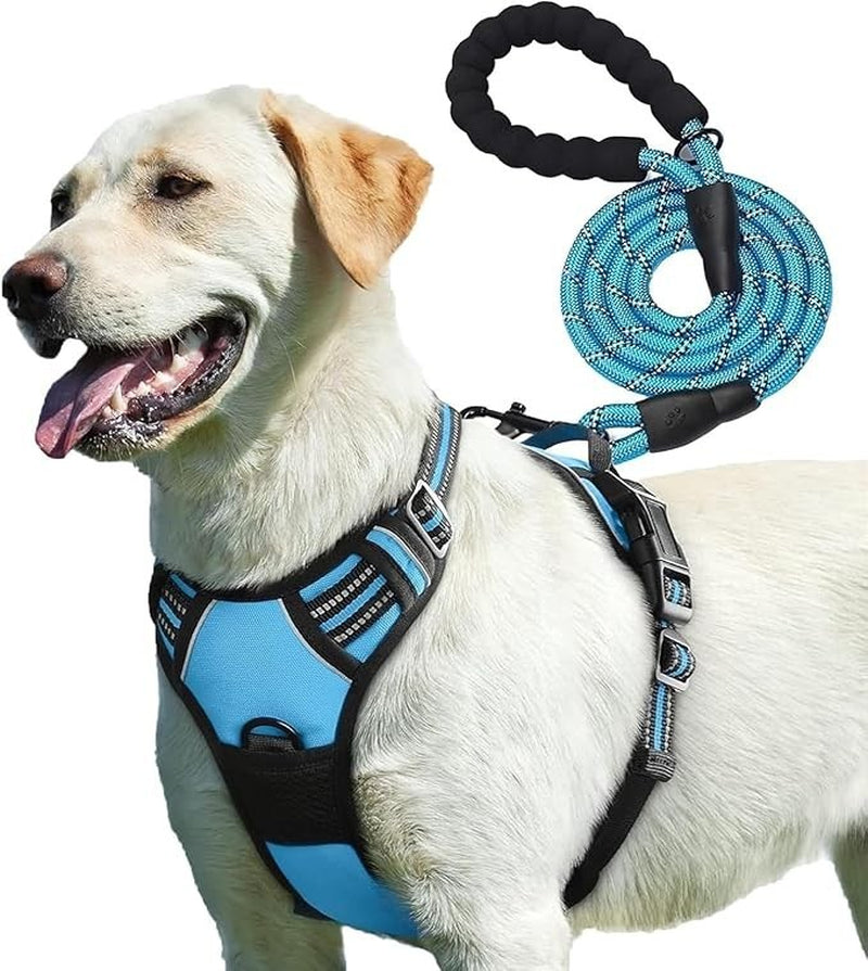 Adjustable No Pull Dog Harness with Free Heavy Duty 5Ft Dog Leash by Petbuds UK