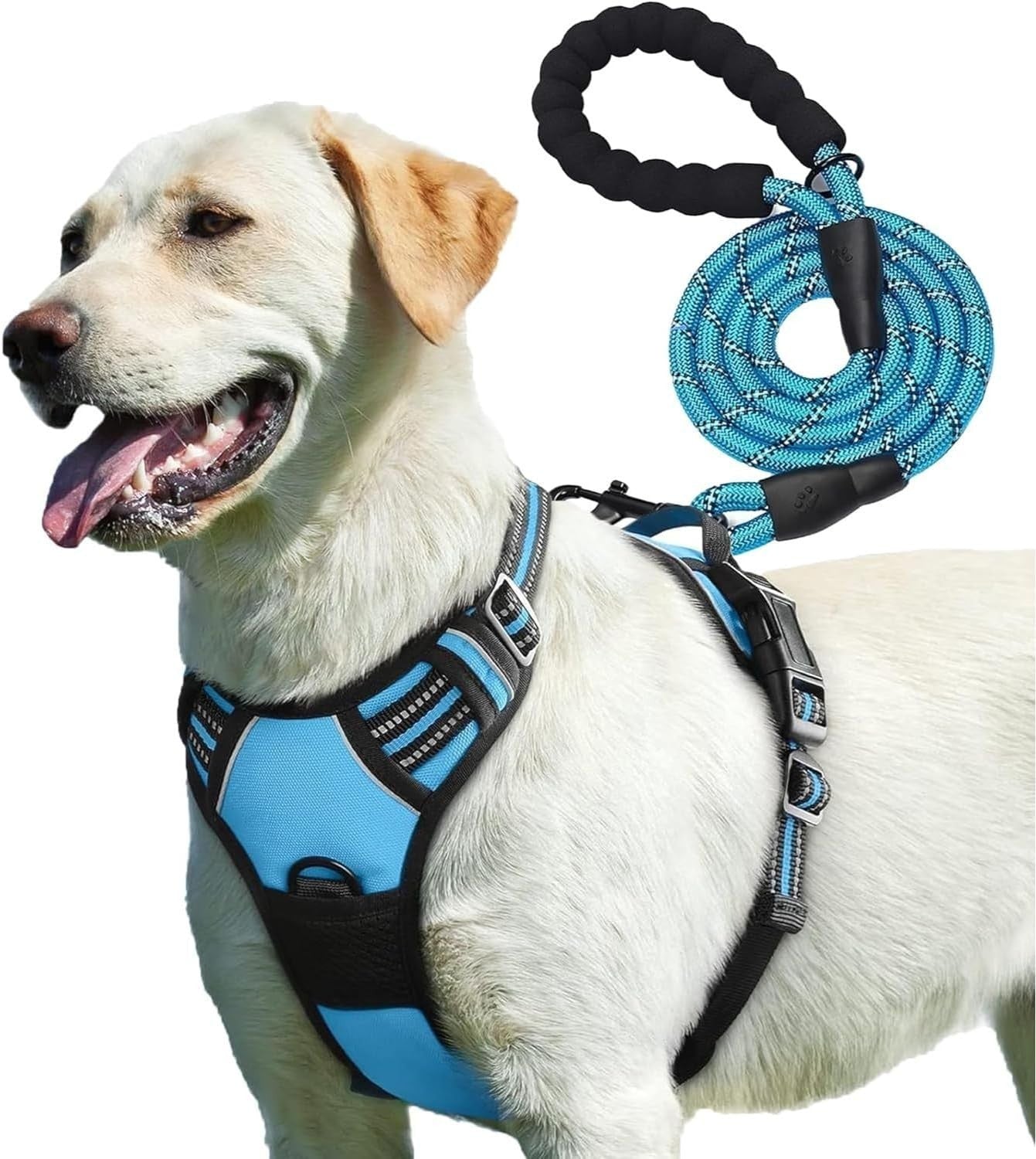 Adjustable No Pull Dog Harness with Free Heavy Duty 5Ft Dog Leash by Petbuds UK