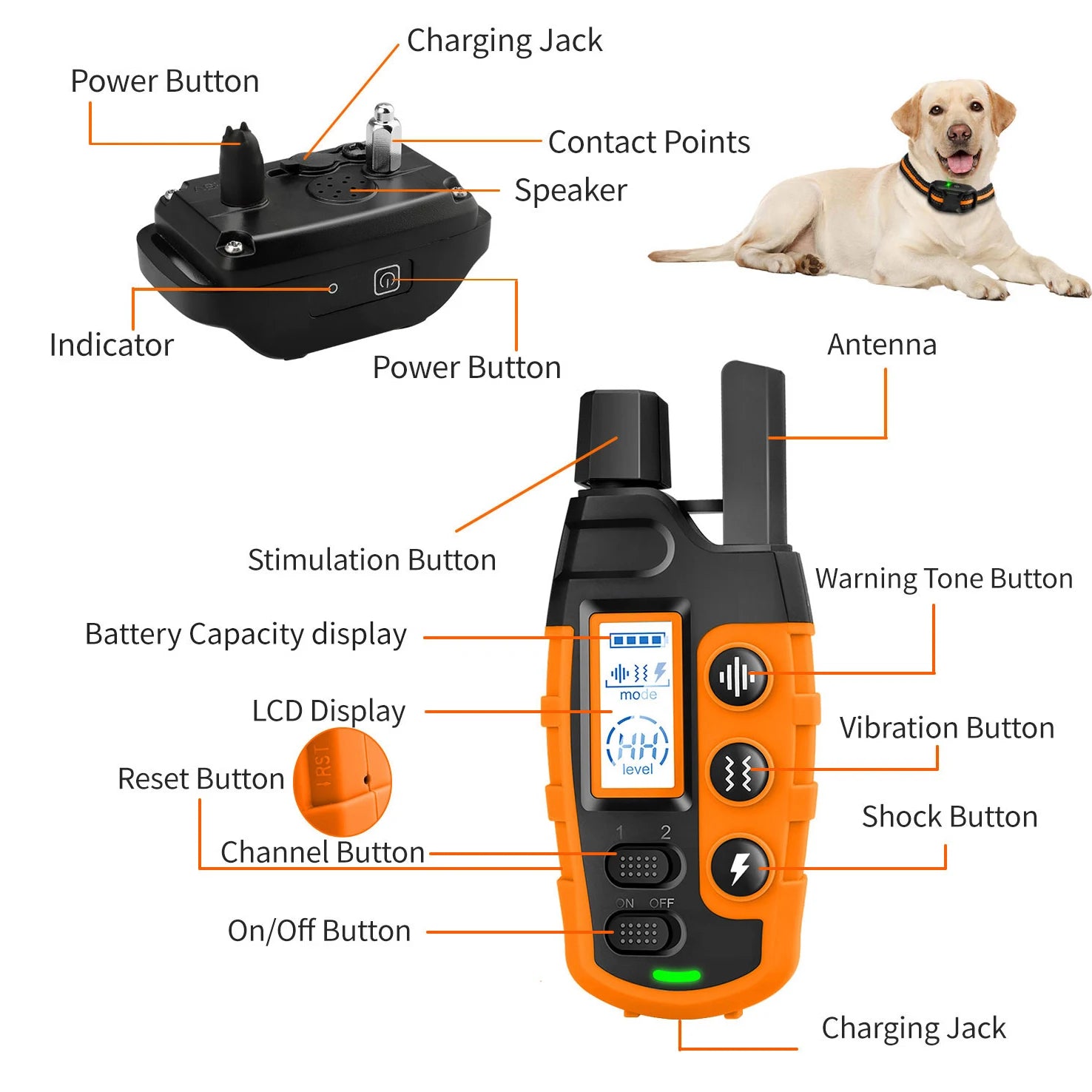 3300Ft Electric Dog Training Collar Remote Control Waterproof Pet Behaviorfor 5-120Lbs Puppy with Shock Vibration
