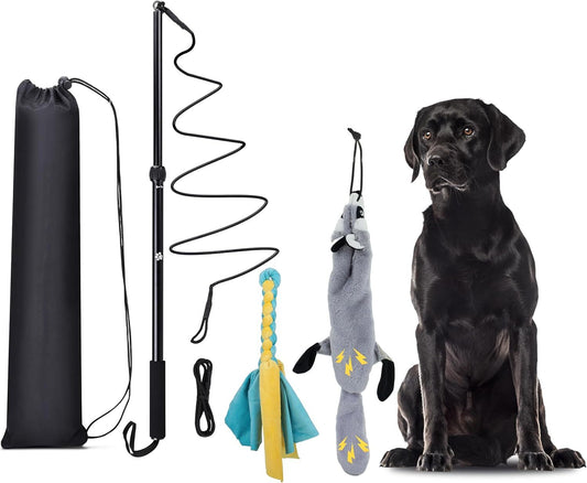 KOXXUD Flirt Pole Dogs, Dog Chase Toy with Squeakers Inside, Dog Fishing Pole To