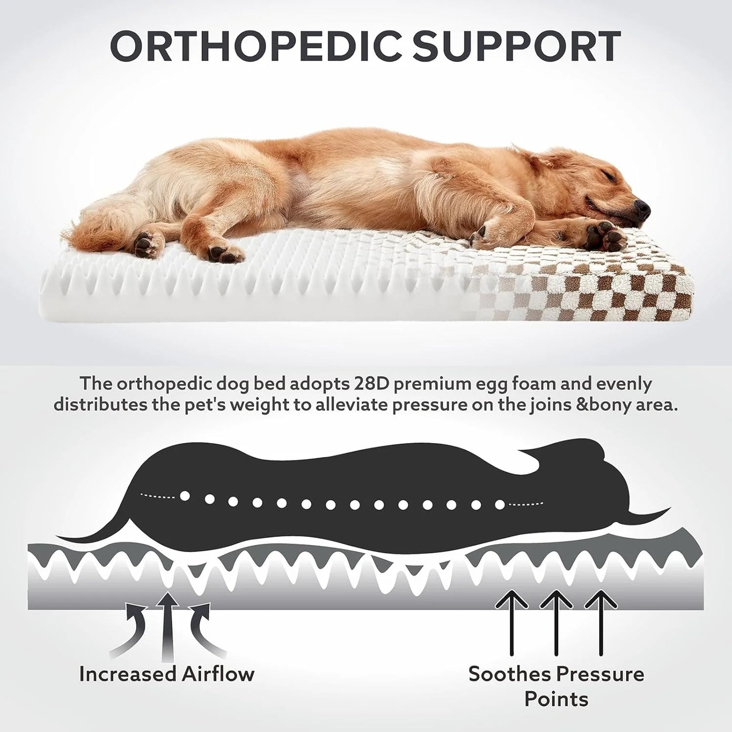 Dog Bed for Medium Dogs, Large Orthopedic Dog Bed with Removable Washable Cover, Cute Modern Plush & Memory Egg Crate Foam Dog Bed(Brown)