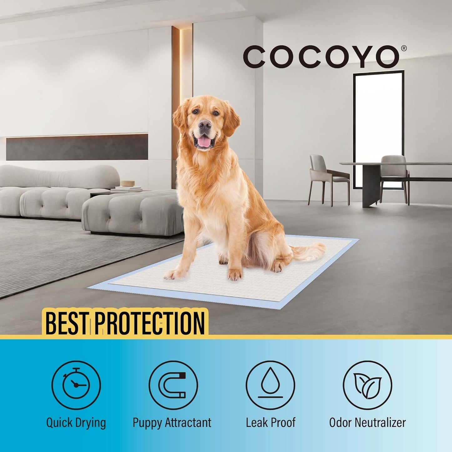 All-Absorb Basic Training Pads,Dog Training Pads 100 Pack, 5 Layers Super Absorbent Puppy Pads-Dog and Puppy Training Pads 56Cm X 56Cm