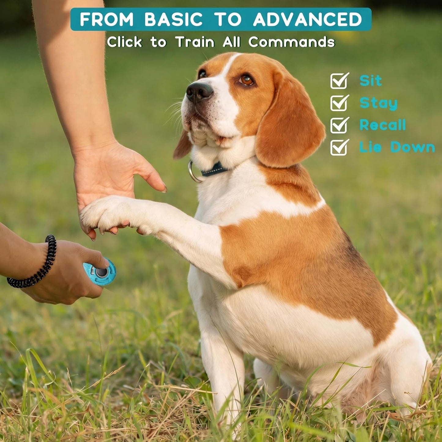 Pet Training Clicker with Wrist Strap - Dog Training Clickers (New Black + Blue)