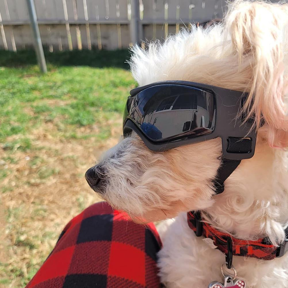Dog & Cat Outdoor UV Protection Sunglasses Pet Goggles with Adjustable Straps