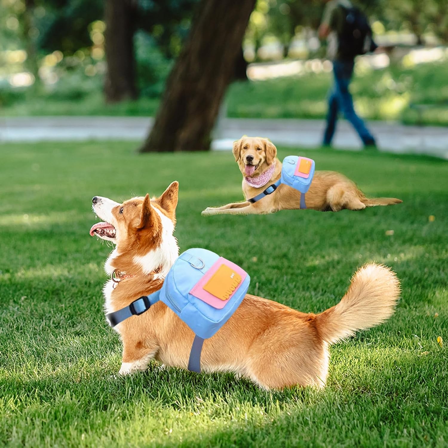 Dog Backpack Harness with Leash, Pet Self Carrier Adjustable Travel Hiking Walking Harness Backpack for Small Medium Dogs, Dog Poop Bag Dispenser